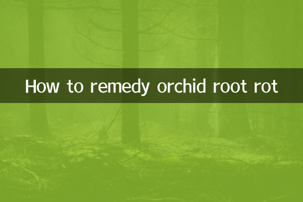 Come rimediare al marciume radicale delle orchidee