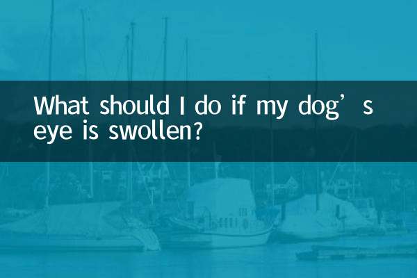 Que dois-je faire si l’œil de mon chien est enflé ?
