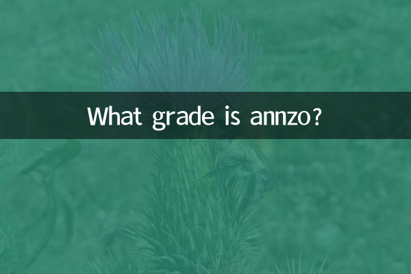 Che classe è Annzo?