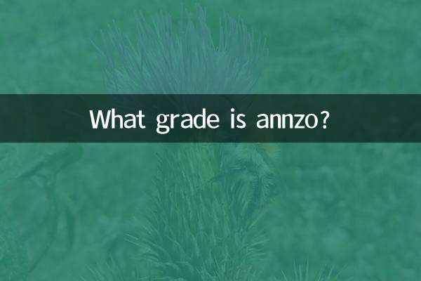 Che classe è Annzo?