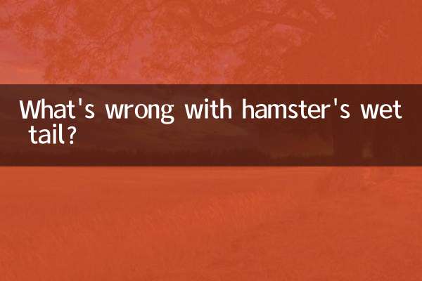 Cosa c'è che non va nella coda bagnata del criceto?