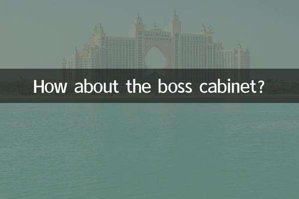 보스 캐비닛은 어떻습니까?