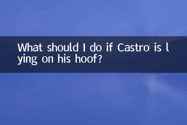 卡斯羅趴蹄怎麼辦