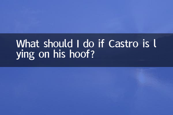 卡斯羅趴蹄怎麼辦