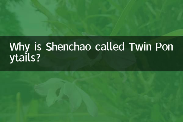 神超為什麼叫雙馬尾