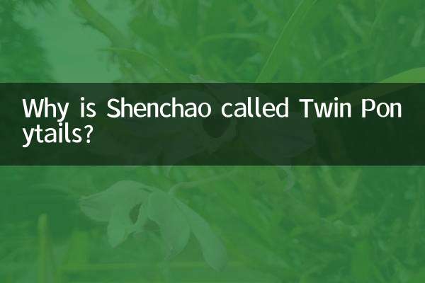 Por que Shenchao é chamado de rabo de cavalo gêmeo?