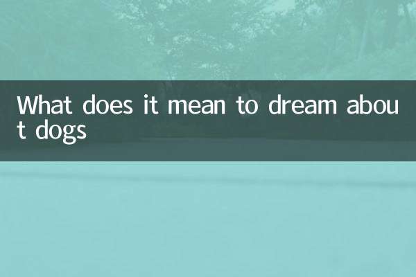 개꿈 해몽은 무슨 뜻인가요?