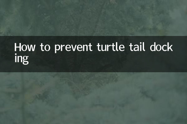 거북이 꼬리 도킹을 방지하는 방법