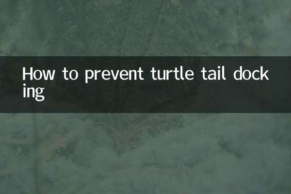 거북이 꼬리 도킹을 방지하는 방법