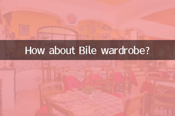 담즙 옷장은 어떻습니까?