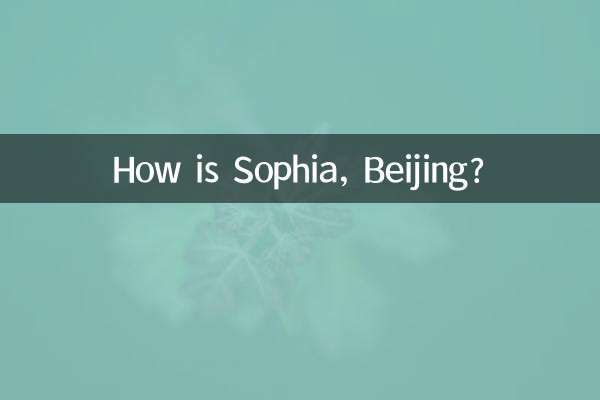 베이징 소피아는 어떤가요?