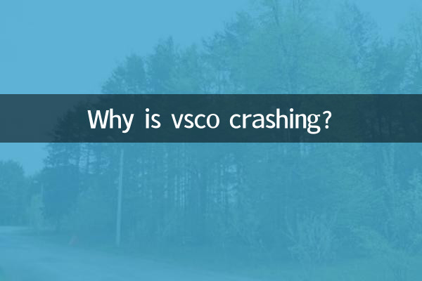 vsco闪退怎么回事