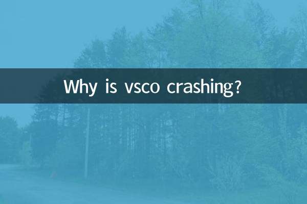 vsco闪退怎么回事