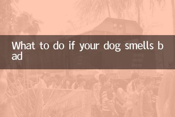 अगर आपके कुत्ते से बदबू आ रही हो तो क्या करें?