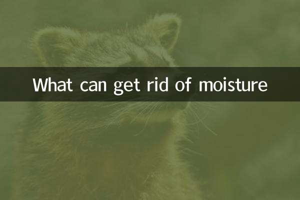 什么可以排除湿气