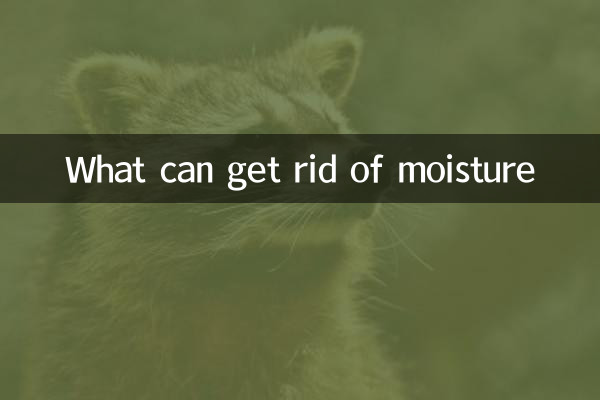 ما يمكن التخلص من الرطوبة