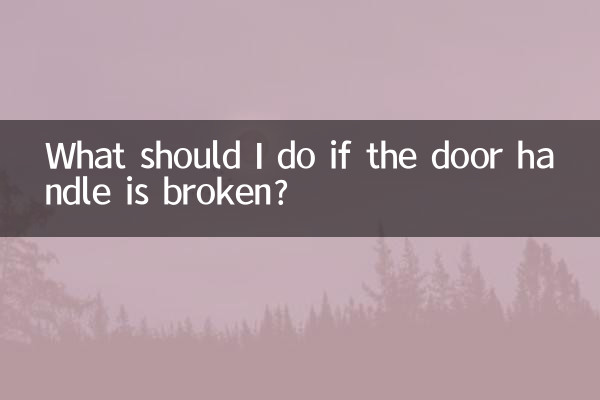 ماذا علي أن أفعل إذا كان مقبض الباب مكسورًا؟