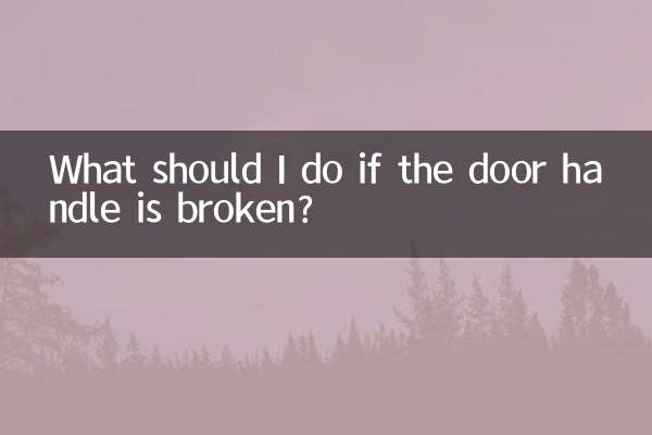 ماذا علي أن أفعل إذا كان مقبض الباب مكسورًا؟
