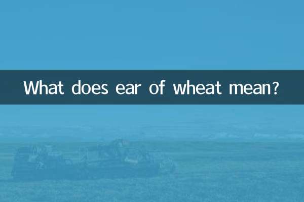 گندم کے کان کا کیا مطلب ہے؟