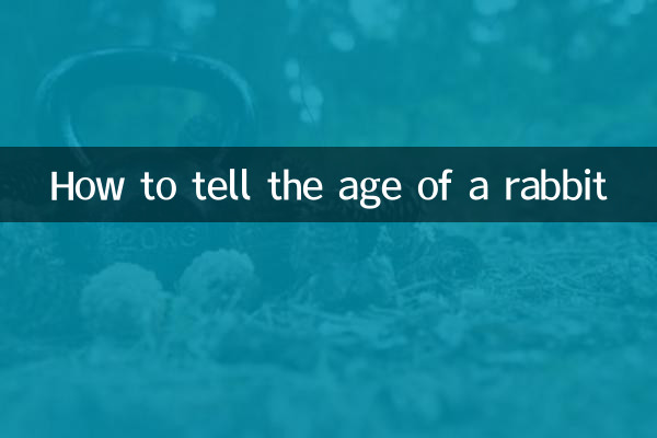 怎么看兔兔年龄