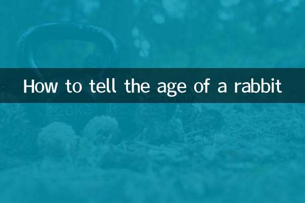 Как определить возраст кролика