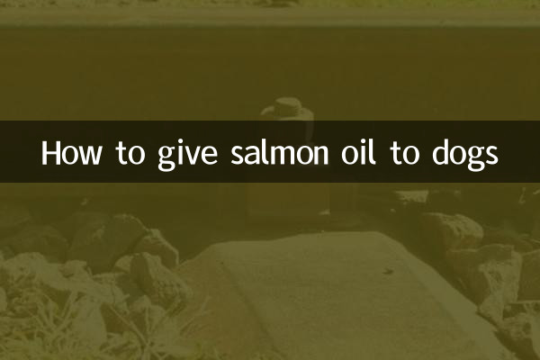 犬にサーモンオイルを与える方法