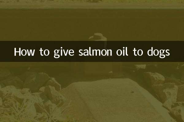 犬にサーモンオイルを与える方法
