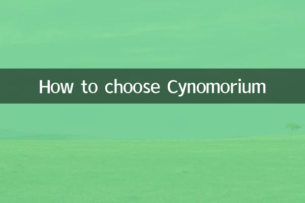 How to choose Cynomorium