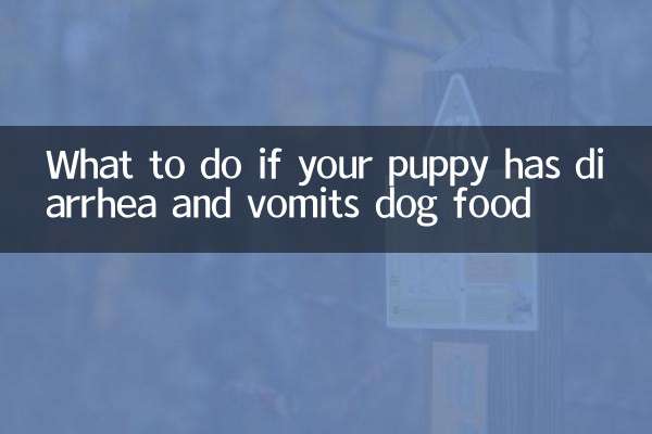 What to do if your puppy has diarrhea and vomits dog food