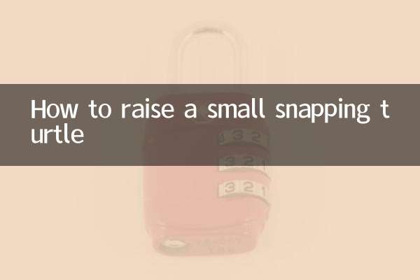 How to raise a small snapping turtle