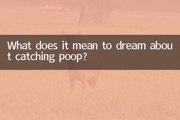 What does it mean to dream about catching poop?