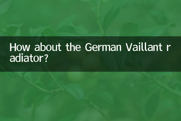 독일 바일란트 라디에이터는 어떤가요?