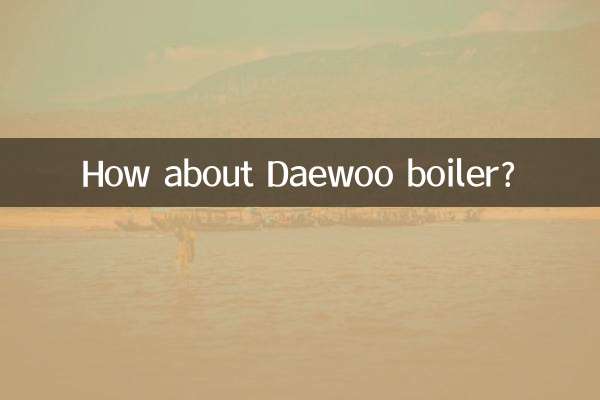 ¿Qué tal la caldera Daewoo?