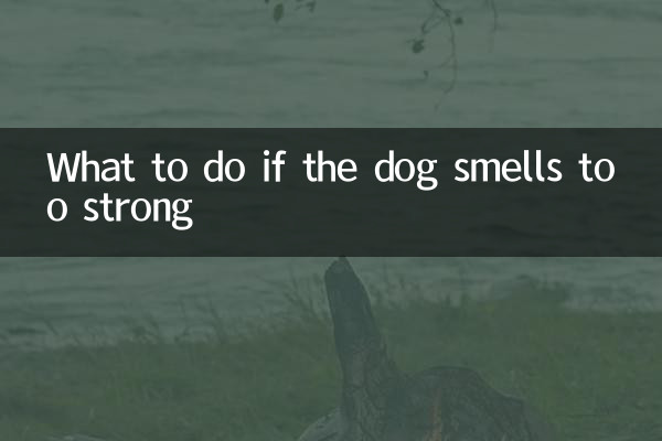 Que faire si le chien sent trop fort