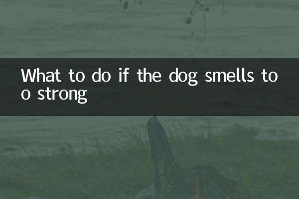 Que faire si le chien sent trop fort