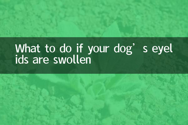 اگر پلک های سگ شما متورم است چه باید کرد؟