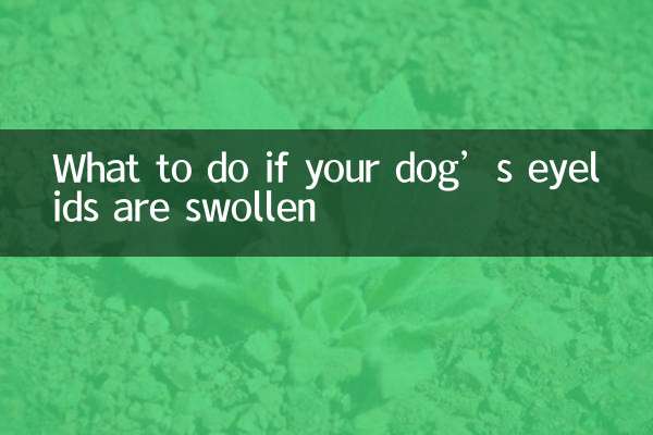犬のまぶたが腫れた場合の対処法