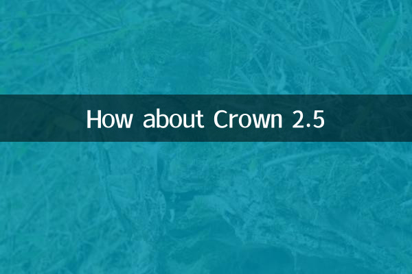 皇冠2.5怎么样