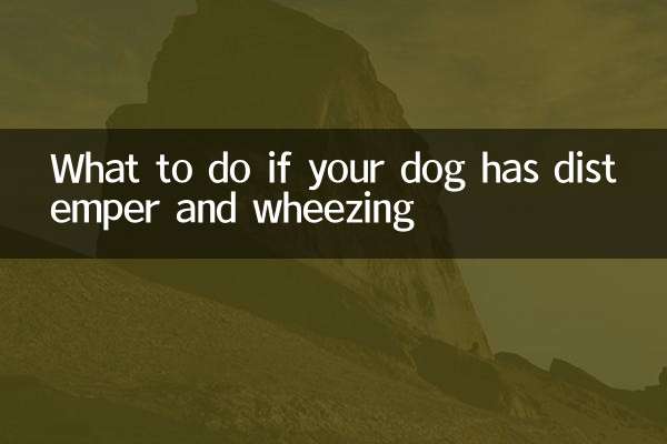 اگر سگ شما دیستمپر و خس خس سینه دارد چه باید کرد؟