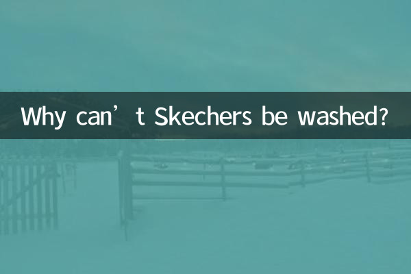 Pourquoi les Skechers ne peuvent-ils pas être lavés ?