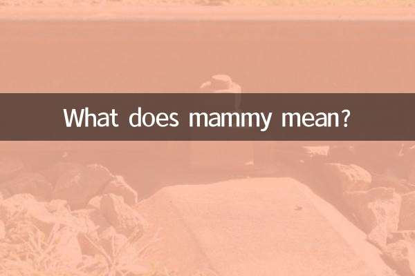 مامی یعنی چی؟