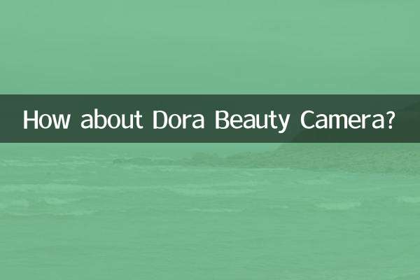 ماذا عن كاميرا دورا بيوتي؟