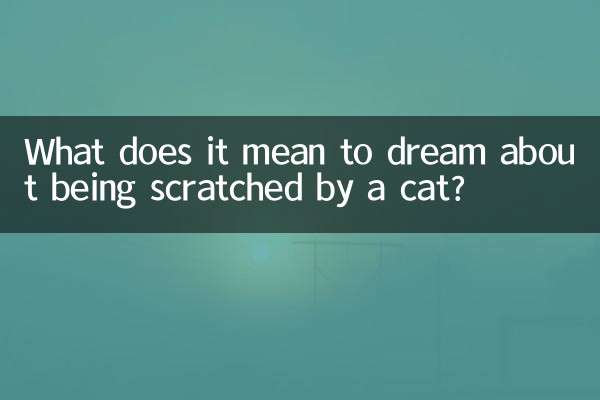 सपने में बिल्ली द्वारा खरोंचे जाने का क्या मतलब है?