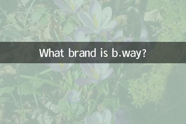 What brand is b.way?