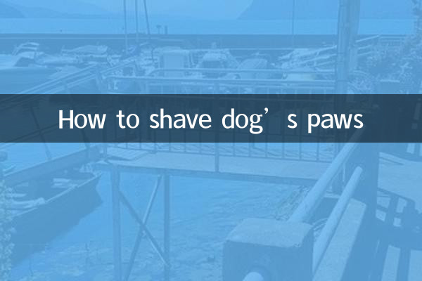 Cómo afeitarle las patas a un perro