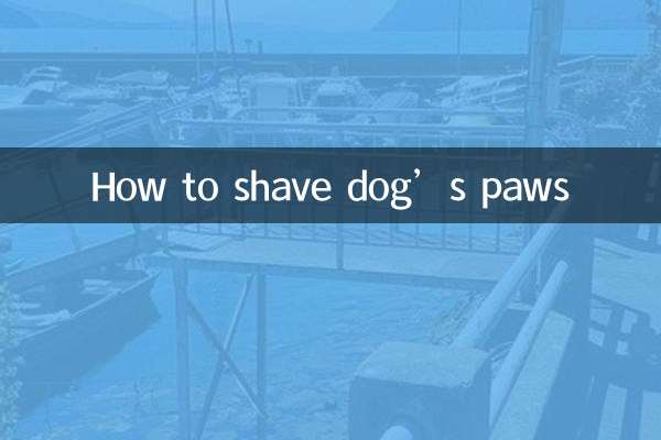 Cómo afeitarle las patas a un perro