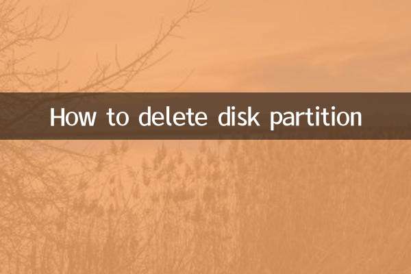 How to delete disk partition