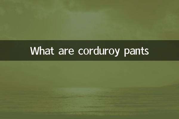 什麼是燈芯絨褲子