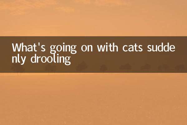 Ce qui se passe avec les chats qui bavent soudainement