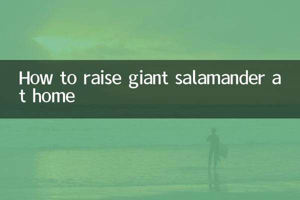 How to raise giant salamander at home